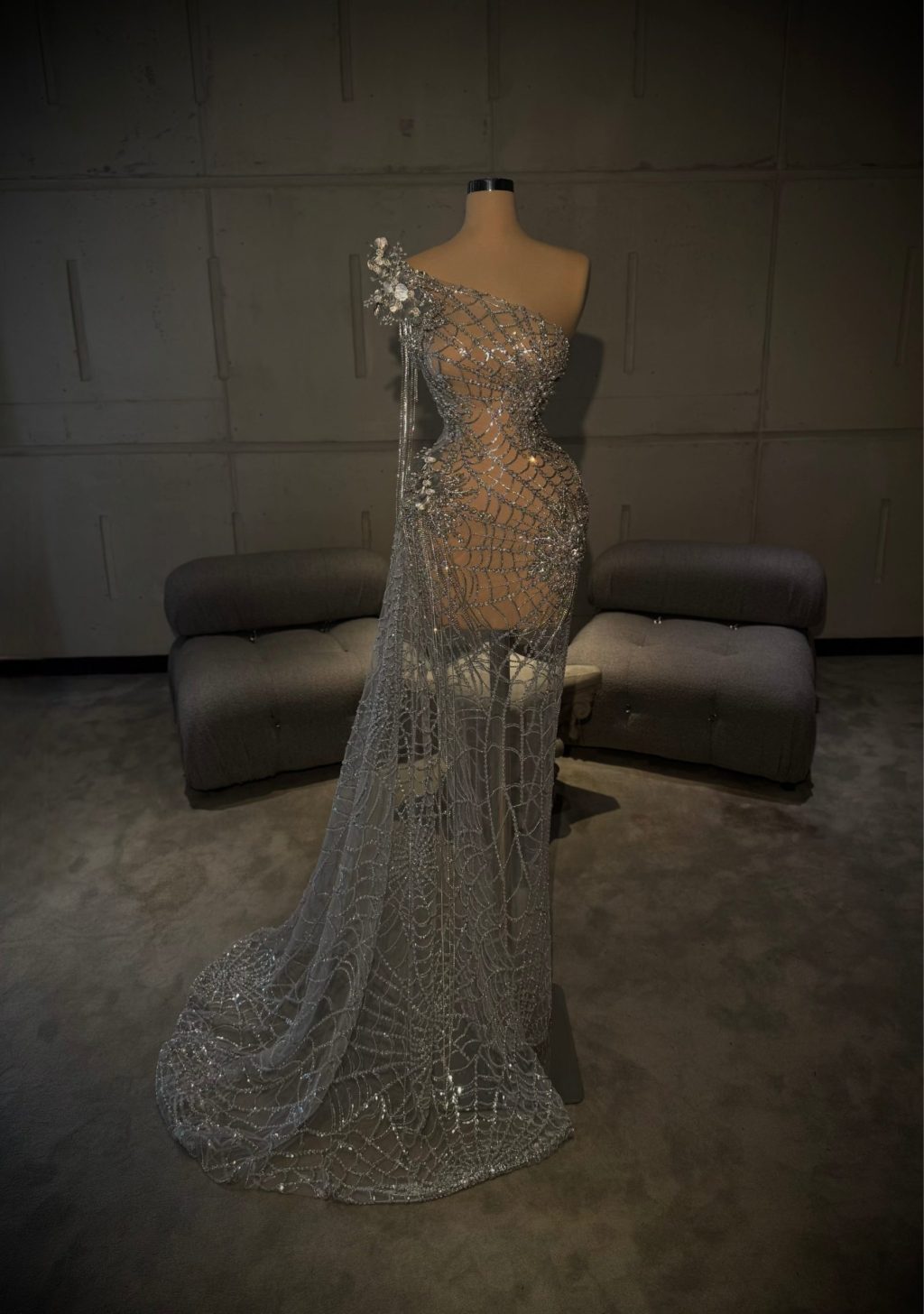 Olèna - One Shoulder Silver Crystal Gown