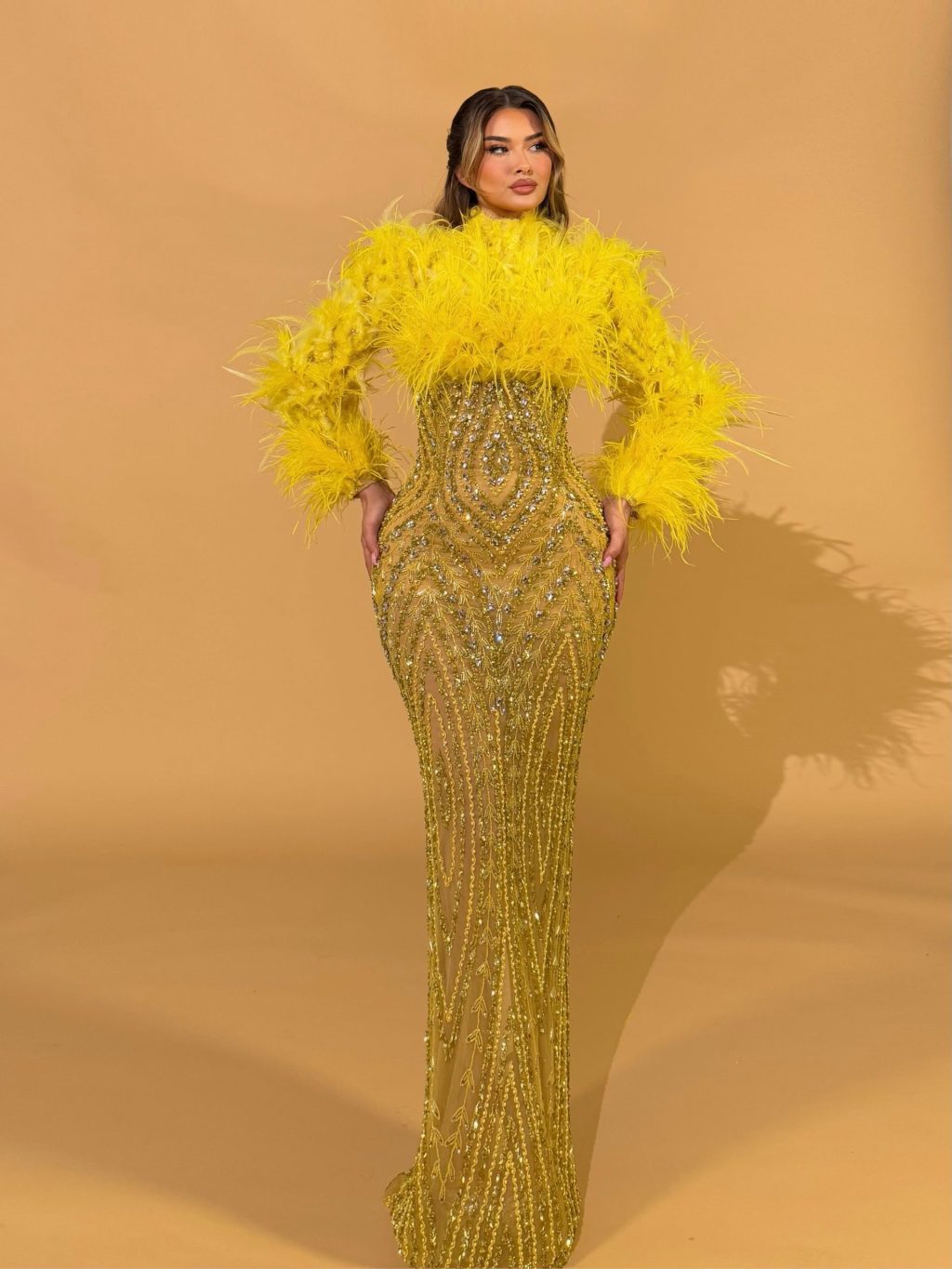High Neck Feathered Crystal Gown